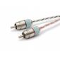 Connection ST2 100.1  2-RCA Interconnect