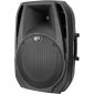 Peavey PBK-15   Passive Pro Speaker