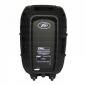 Peavey PBK-15   Passive Pro Speaker