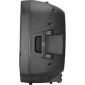 Peavey PBK-15   Passive Pro Speaker