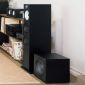 Bowers & Wilkins ASW608  Bowers & Wilkins Bulgaria 