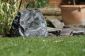 Euroshine LS-81  100V Rock Stone Garden Speaker